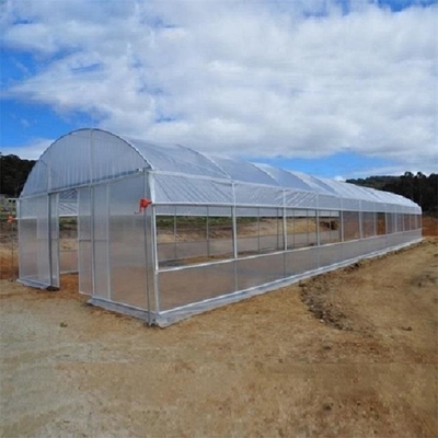 150mic PE Film Tunnel Plastic Greenhouse With Galvanized Steel Frame