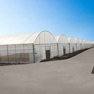 Agriculture Poly Tech Greenhouse Cultivation Or Breeding Easy To Construct