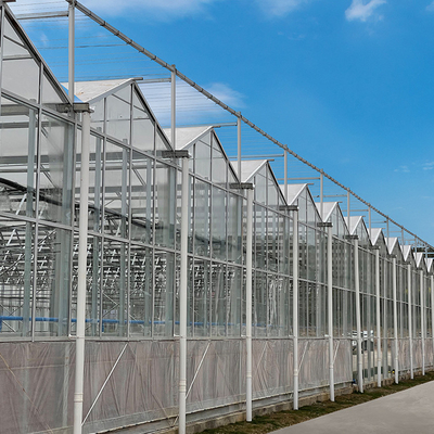 Agricultural Multi Span Hydroponic Fiber Glass Greenhouse For Vegetables Growing