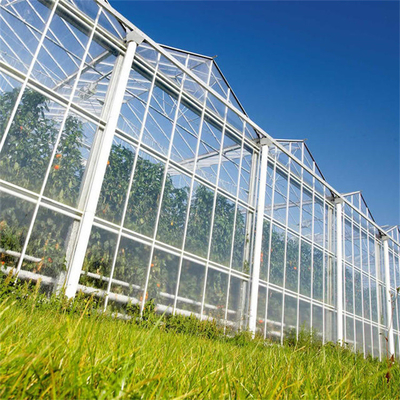 Hot Dip Galvanizing Steel Frame Photovoltaic Solar Venlo Glass Greenhouse Multi Span