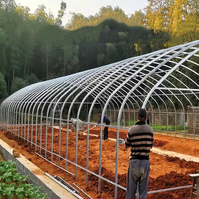 Plastic Sheet Uv 200 Microns Single Span Greenhouse For Tropical Climate