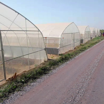 Width 8m 9m 10m Tunnel Plastic Greenhouse For Vegetables Growing