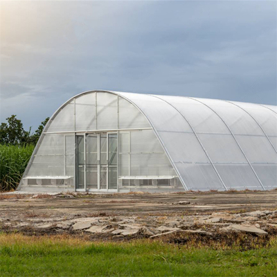 Poly Tunnel Single Span Polycarbonate Sheet Greenhouse Sun Solar Dryer For Rubber