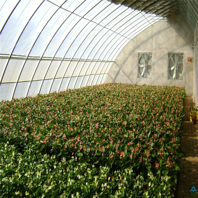Passive Solar Quilt Tunnel Single Span Greenhouse for Cold Area