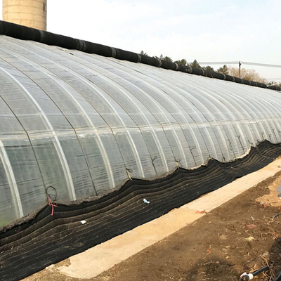 Winter Plastic Film Tunnel Passive Solar Greenhouse Single Span Heat Preservation
